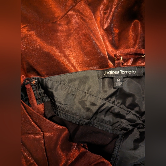 Jealous Tomato plunging neckline dress - Picture 5 of 6